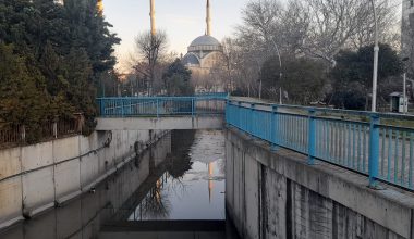Mart Ayında Sivrisinekler Yumurtalarını Bu Kanala Bırakır, Ataköy Vatandaşını Uyaralım