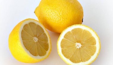 Limonun İnsan Sağlığı için Yararları (Faydaları)