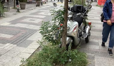 Bakırköy Yakup Sokağin’da  Ağaçların  Videosunu İzlermisiniz ?