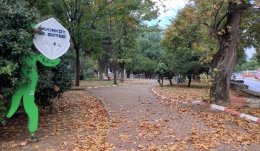 İlmin Işığını Ortaya Çıkaracak Belediye Başkana İhtiyacımız Var?