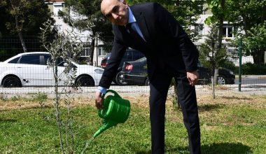 Bülent Kerimoğlu’na Mektup