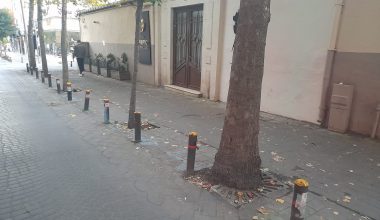 Ebuzziya Caddesi’nin Şemsiyesi Ağaçlarıdır!