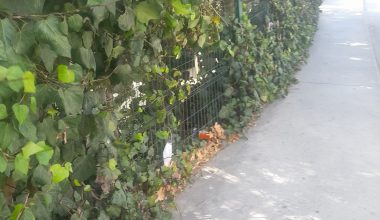 Gelik  Mimarları Merhum Ömer Durak ve İbrahim Denizer’e Mektup