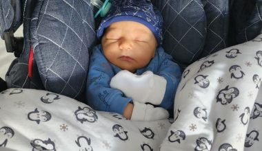 Can Paul Anadol, Dünyaya Hoşgeldin