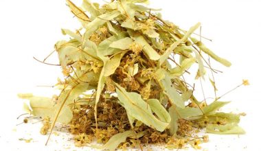 Bakırköy’de Tüccar Bir Belediye Başkanı Olsaydı…