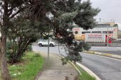 Bakırköy Belediyesi İncir Yolu Üzerindeki Ağaçlara Yayayı Engelliyor?