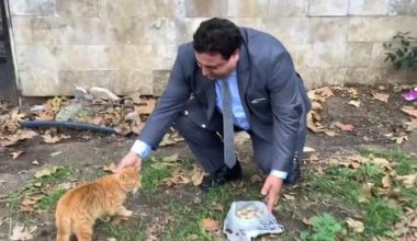 Esenyurt Belediye Başkan Aday Adayı Kurtuluş Bazu  Hayvanlara Olan İlgisi Videosu?