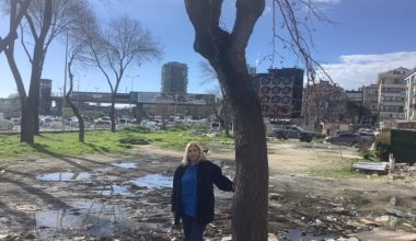 Cevizlik Mahallesi’nde Yıkılmayan Tut Ağacını Pınar Özok Anlatıyor Videosu