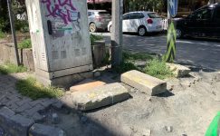 Kartaltepe Muhtarı Bakırköy Filiz Sokak Girişi Yabanı Otları Ve Düşen Taşları Ne Zaman Yapılacak?