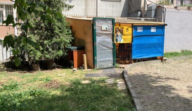 Bakırköy’de Kedilere Sahiplenelim Ama Bakırköy Gece Konduya Çevirmeyelim Videosu