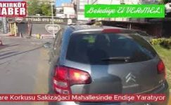 Bakırköy Sakızağacı Mahalleyi Fare Korkusu Sardı Videosu