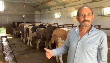 Kurban Bayramı Kocaali’de Hatun oğulları Çiftliğinde Kahvaltı- Öğle Yemeği  Yaşandı Videosu
