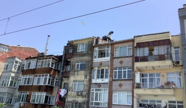 Bakırköy Belediyesi Şehir kültürüne sahip çıkmalı?