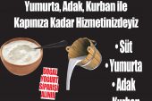 Kocaali’de Günlük Süt Ve Yumurta Ariyanlar