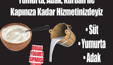 Kocaali’de Günlük Süt Ve Yumurta Ariyanlar