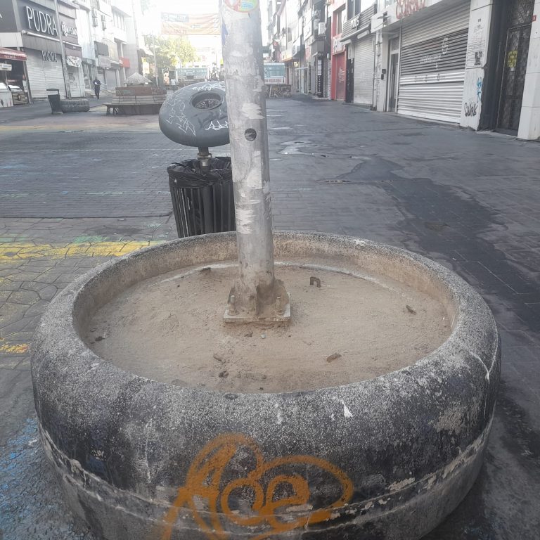 Başkanım Meydan Saksılarına Menekşe Çok Yakışır ?