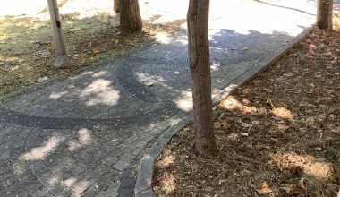 Ataköy  Parklar Bakımsızlıktan Yanıyor Videosu
