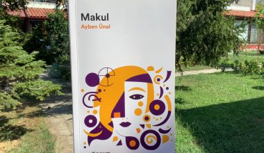 Ufak Tefek iyi Şeyler Hakkında Yazılmış Olan “Makul Kitap “ta Yer Alan Başlıklar: