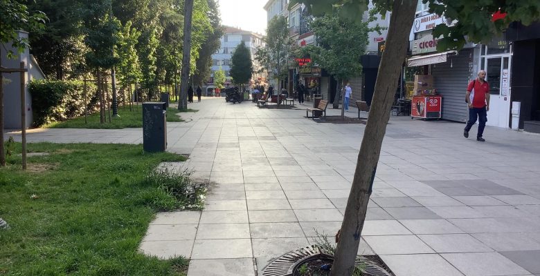 Bakırköy Kapalı Alanda Araç Tarafından Ağaca Zarar Verildi