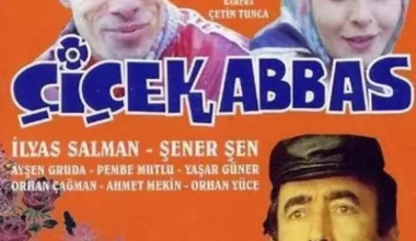 Resim ve Müzik, Afiş ,Karikatür Birer Okuldur