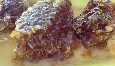 Kafkas Balının Sağlığa Faydaları