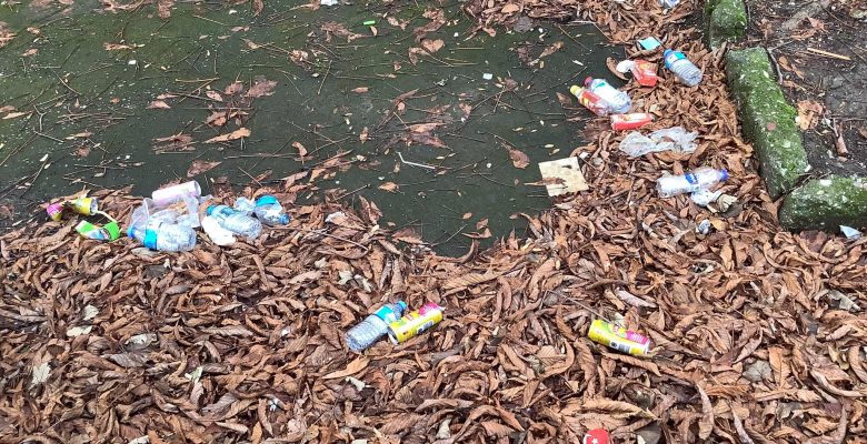 Bakırköy’de Eğitimciler ve İdareciler İçin Çağrı