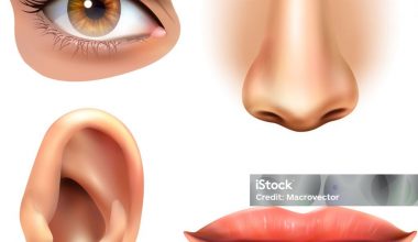 Bakırköy Belediyesi’nde Çalışanların Gözü, Kulağı, Aklı ve Eli Hizmette Olsa…