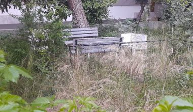 Bahçesi Olan Binalar Ne Kadar Şanslı! Mis Çiçek Kokulu Binalar Nerde?