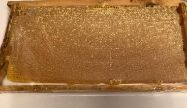 Erzurum ve Kars’tan Gelen Doğal ve Organik Ürünler Güvenilir Yerlerden Alınmalı