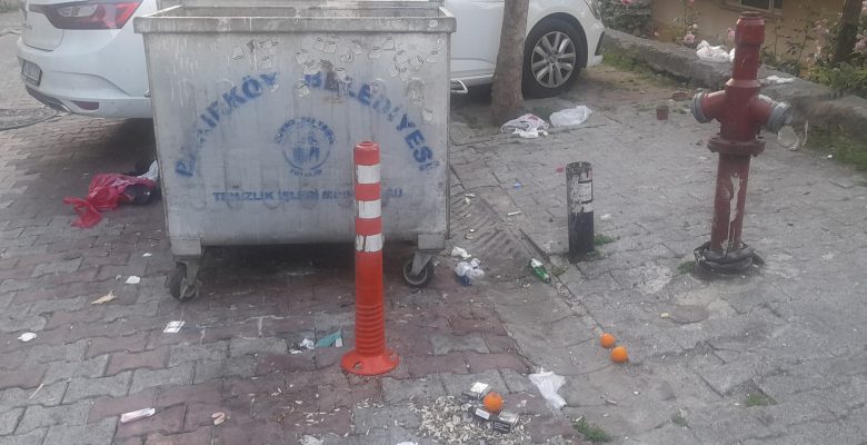 Bakırköylüler, Lütfen Çöp Konteynerlerine Dikkat Edelim! Bu Görüntüler Bakırköy’e Yakışıyor mu?
