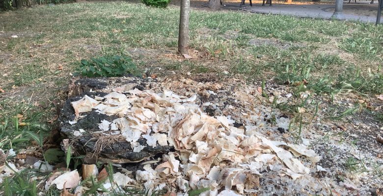 Belediye Temizlik Müdürlüğü’ne Çağrımızdır: Parklara Ekmek Atılmasını Durdurun!