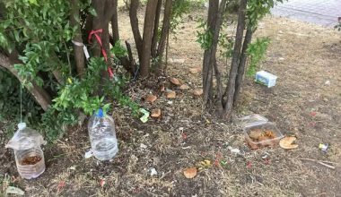 Bakırköy Kartaltepe Mahallesi’nde Park Manzarası Bakırköy’e Yakışmıyor!