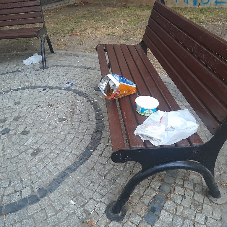 Kartaltepe Millet Parkı’nda Yoğurt ve Cips Yiyenler, Temizliği de Bilmeli