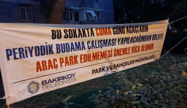 Ataköy’de Ağaç Budama Çalışması İçin Ortak Çağrı