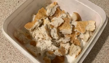 Hayvan severlere Çağrımdır