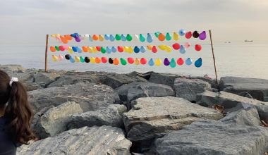 İstanbul Büyükşehir Belediyesi Zabıta Müdürlüğü’ne Bir Çağrımızdır