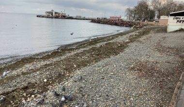 Çınarcık Belediyesi – Tarihçe, Kültür, Ulaşım ve Turistik Yerler