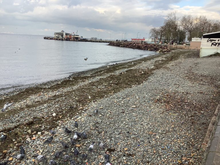 Çınarcık Belediyesi – Tarihçe, Kültür, Ulaşım ve Turistik Yerler