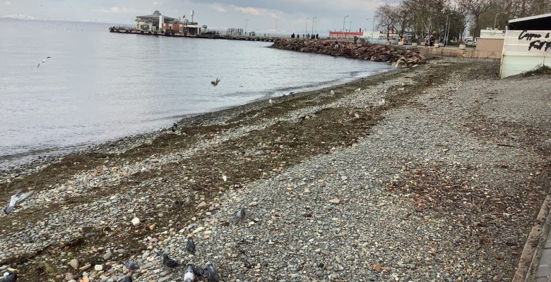 Çınarcık Belediyesi – Tarihçe, Kültür, Ulaşım ve Turistik Yerler