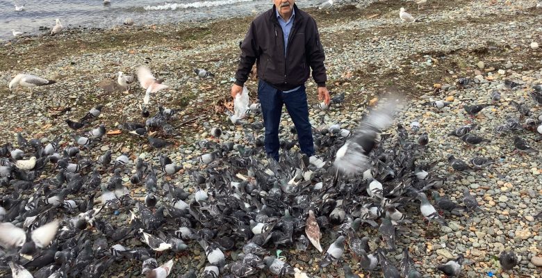 Çınarcık’ta Kuş Sevenlerle Buluştuk