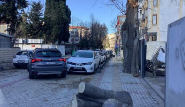 Rüzgâr Bakırköy’de Ağacı Devirdi, İki Araç Zarar Gördü