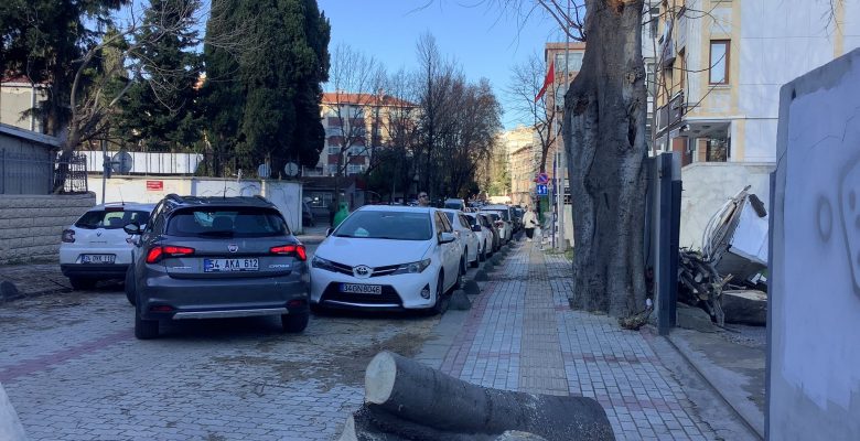Rüzgâr Bakırköy’de Ağacı Devirdi, İki Araç Zarar Gördü