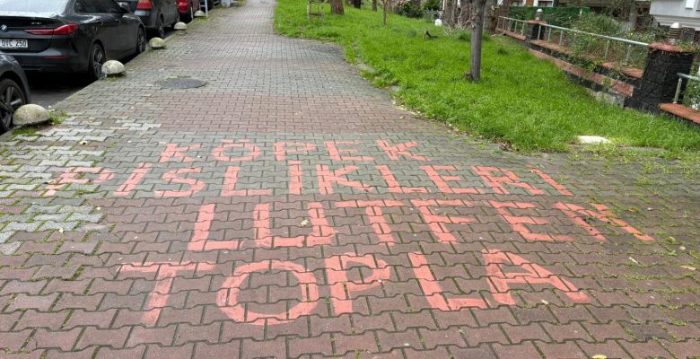 Başkanım, Yolun Ortasına Yazılan Bu Yazıyı Görmezden Gelmeyelim: “Köpek Pisliklerini Lütfen Toplayın”