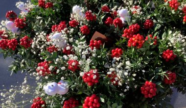 2026 Yılında Evinize Huzur, Bereket ve Sağlık