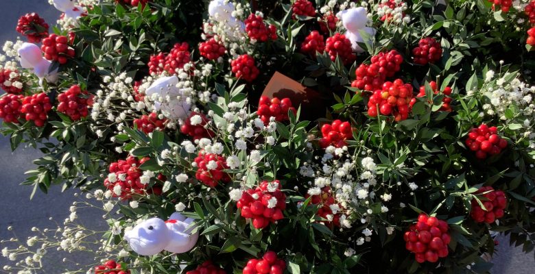 2026 Yılında Evinize Huzur, Bereket ve Sağlık