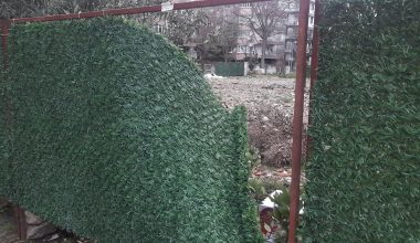 Bakırköy İncirli Sayfiye Sokak’ta Yıkımı Yapılan Bina Hakkında