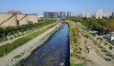Mart Ayının İlk Haftasında Sivrisinekler Yumurtalarını Bırakıyor