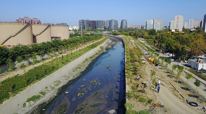 Mart Ayının İlk Haftasında Sivrisinekler Yumurtalarını Bırakıyor
