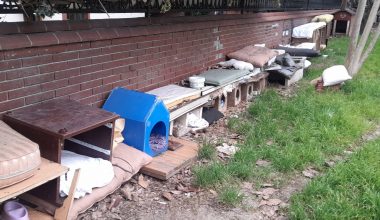 Bakırköy Belediye Başkanı’na Çağrı: Yeşilköy’de Bu Görüntüler Yakışıyor mu?