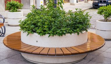 Bakırköy’de Caddelerdeki Ağaçların Bakımı ve “Makyaj” Zamanı